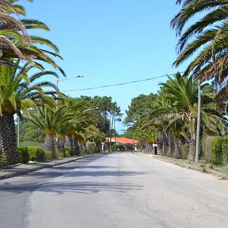 Casa Borboleta Gepflegte Mit Meerblick, Grossem Garten Und Pool, Traumlage Aljezur